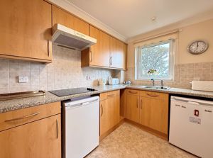 Photo 2- click for photo gallery